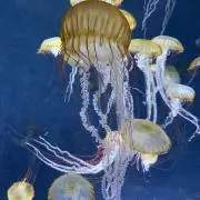 そら
