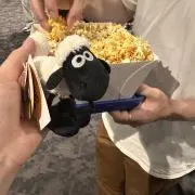 ションちゃんの画像