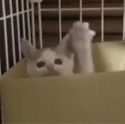 junの画像