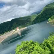 ゆの画像