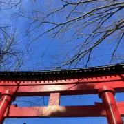 やくもの画像