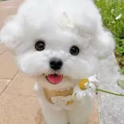 0の画像