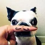 yknkの画像
