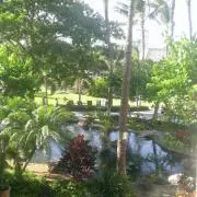 OHANA＊
