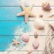 ☆ALOHA☆の画像