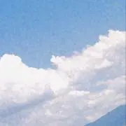 ねむの画像