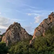 ウィーバー分子生物学 第4版 - メルカリ