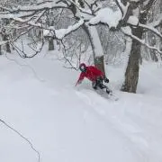AHの画像