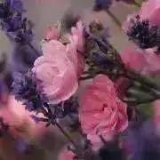 mio⋆⑅実家整理中☀︎いいね大歓迎ですの画像