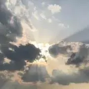 ちむちむに
