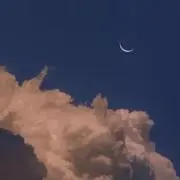 rurの画像