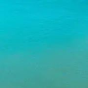 にしの画像
