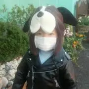 山純