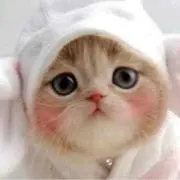 にゃんこのシッポ☆