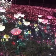 えり☆キッズ用品中心の画像