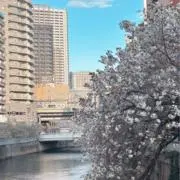 saoriの画像