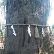 UCの画像