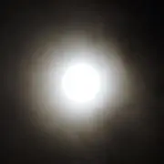 めるすけの画像