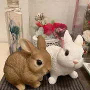 よちぞの画像