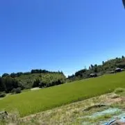 SKの画像
