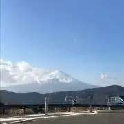 シーニックの画像