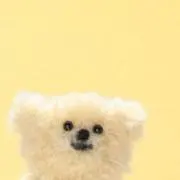 pの画像