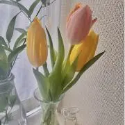 SecondBarの画像