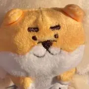 コロロ　引っ越し断捨離中の画像