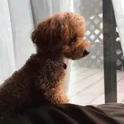ながいながいながい