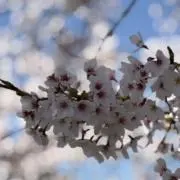 fqの画像