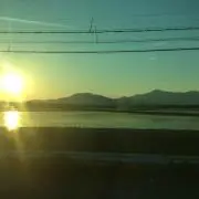 ざっきーの画像