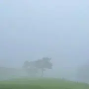 あいの画像