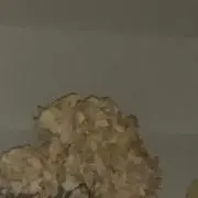 omizuの画像