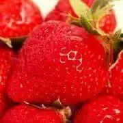 あまおう※プロフご覧ください。