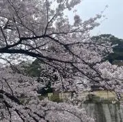 くりたんの画像