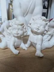 はねのこの画像