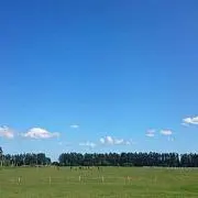 ニャロメ