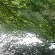 とうふの画像