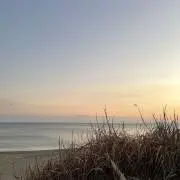 らの画像