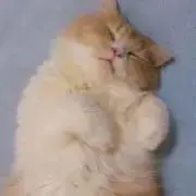 dude【プロフ参照】の画像
