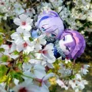 るぅ☆プロフ必読(グッズ整理中)の画像