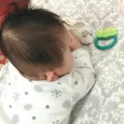 ごんぞーの画像