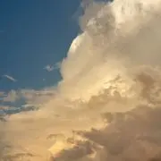 m.h