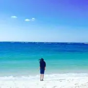 ぴーなっつの画像
