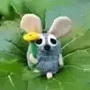 ぽんちゃん