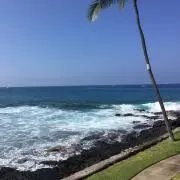 るかひな☆の画像