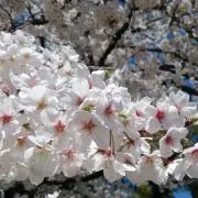 Reiの画像