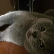 kuniko830の画像
