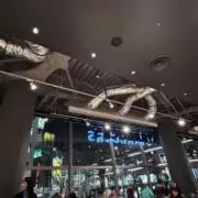 amiの画像