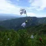 ルル⭐️ 購入前にコメントお願いしますの画像